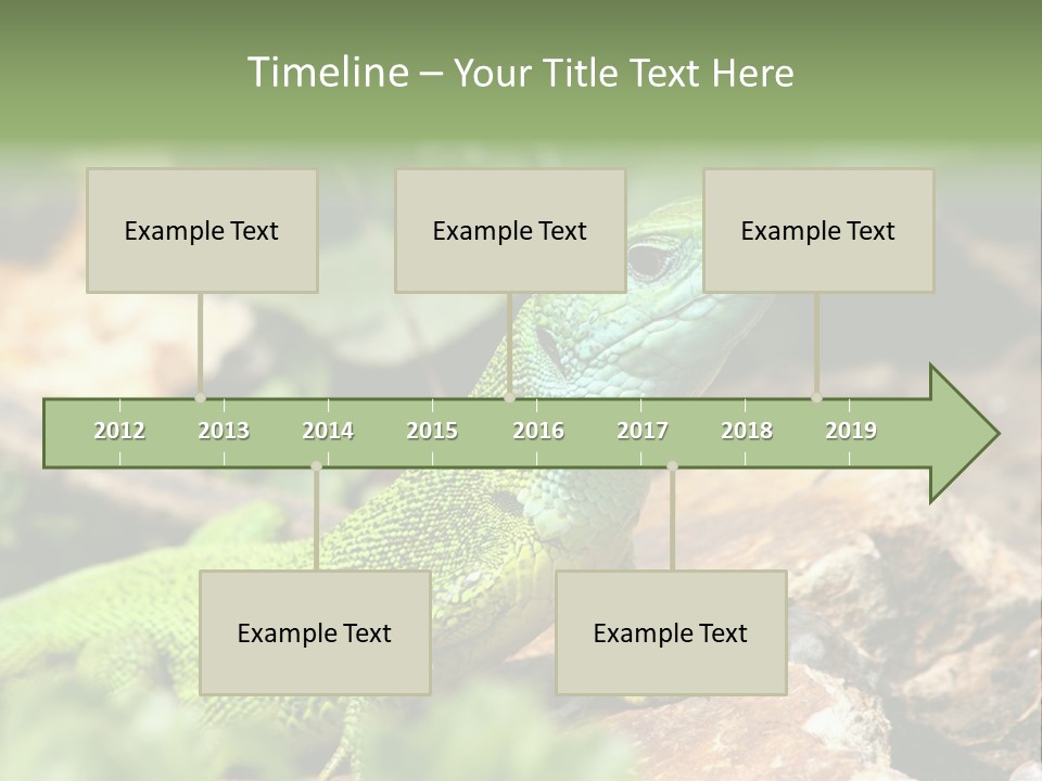 Juvenile Curlytail Green PowerPoint Template