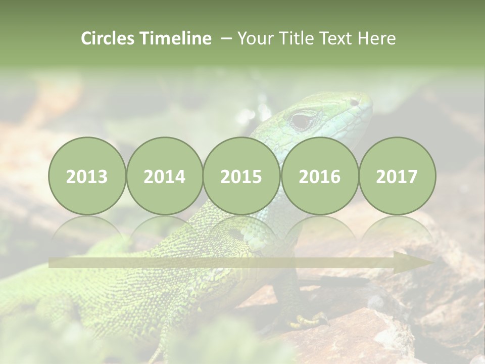 Juvenile Curlytail Green PowerPoint Template