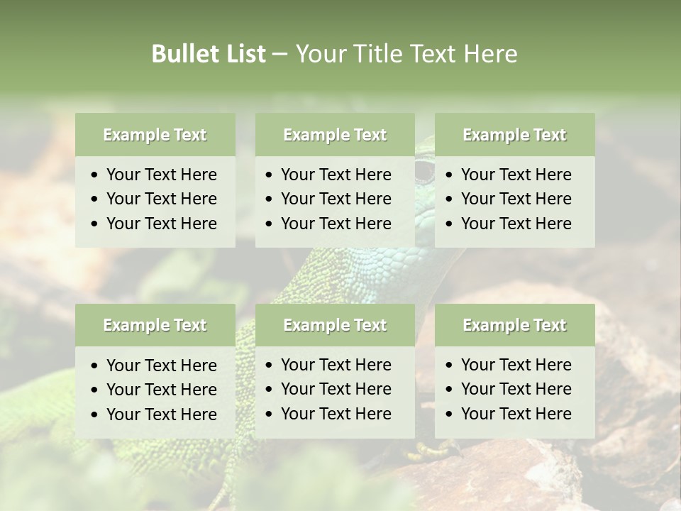 Juvenile Curlytail Green PowerPoint Template