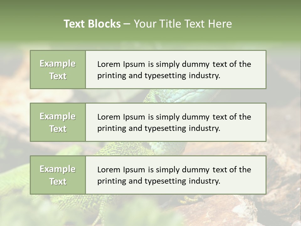 Juvenile Curlytail Green PowerPoint Template