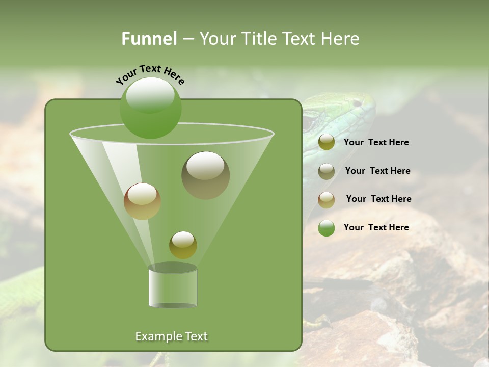 Juvenile Curlytail Green PowerPoint Template