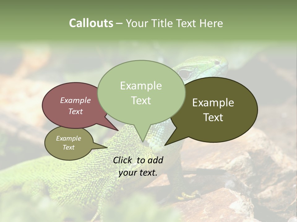 Juvenile Curlytail Green PowerPoint Template