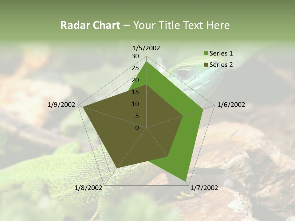 Juvenile Curlytail Green PowerPoint Template