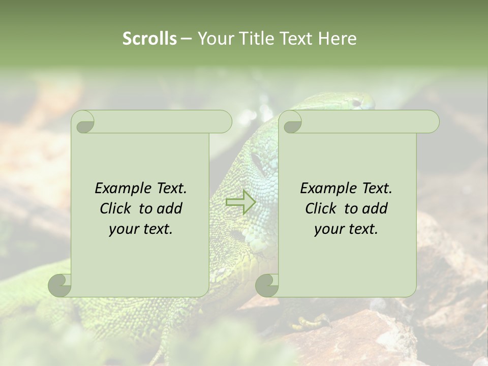 Juvenile Curlytail Green PowerPoint Template