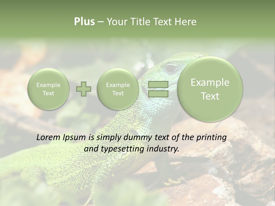 Juvenile Curlytail Green PowerPoint Template