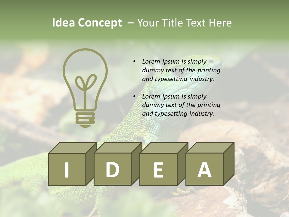 Juvenile Curlytail Green PowerPoint Template