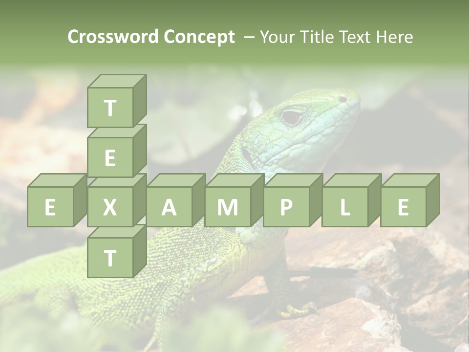 Juvenile Curlytail Green PowerPoint Template