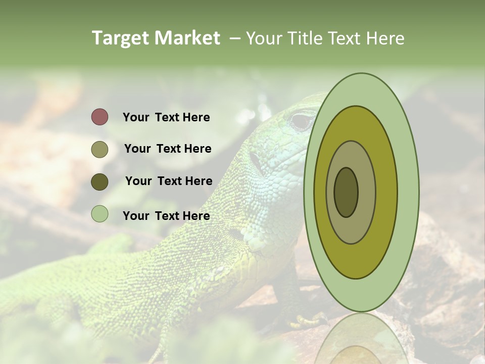 Juvenile Curlytail Green PowerPoint Template