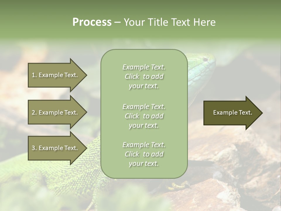 Juvenile Curlytail Green PowerPoint Template