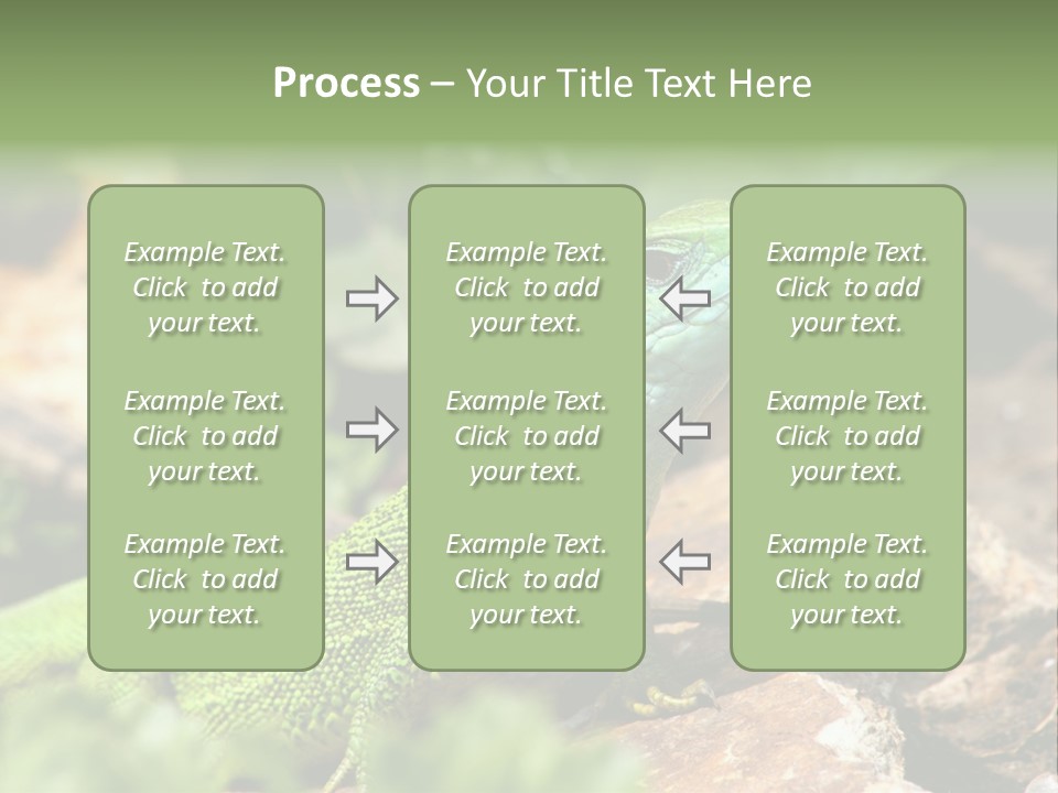 Juvenile Curlytail Green PowerPoint Template