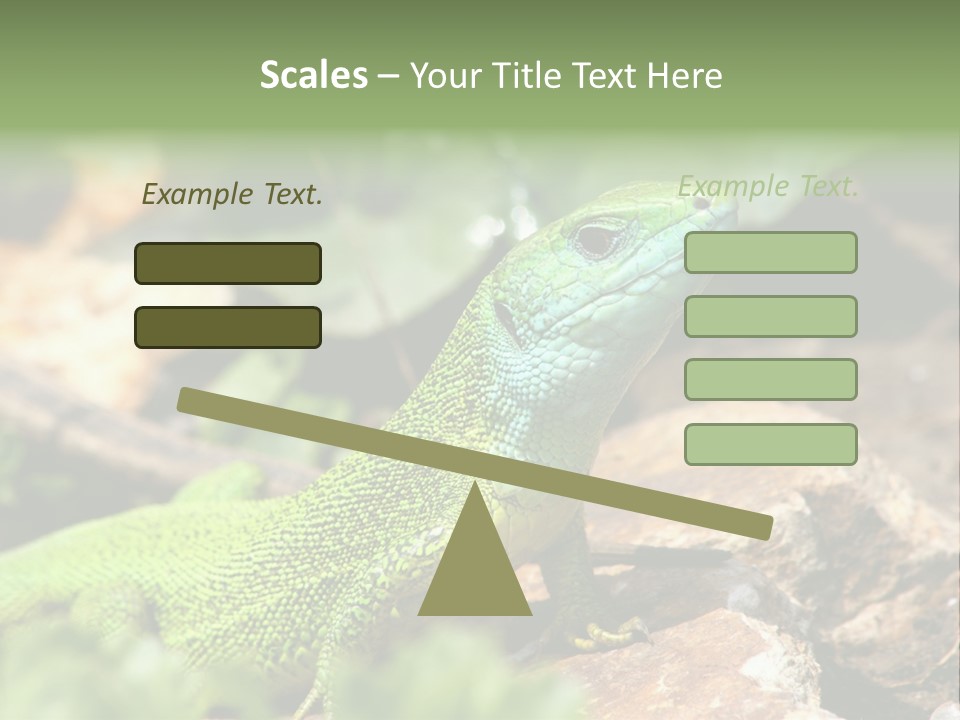Juvenile Curlytail Green PowerPoint Template