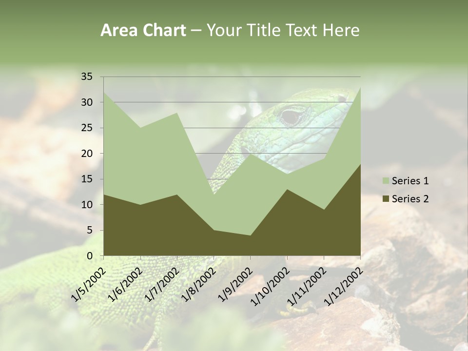 Juvenile Curlytail Green PowerPoint Template