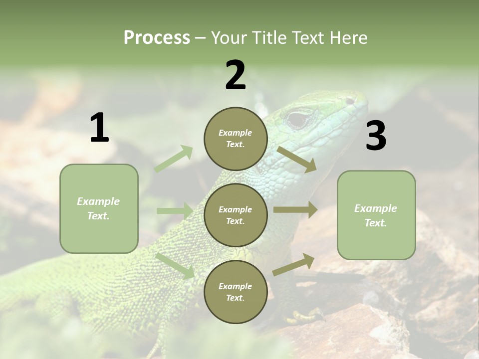 Juvenile Curlytail Green PowerPoint Template