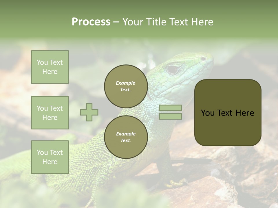 Juvenile Curlytail Green PowerPoint Template