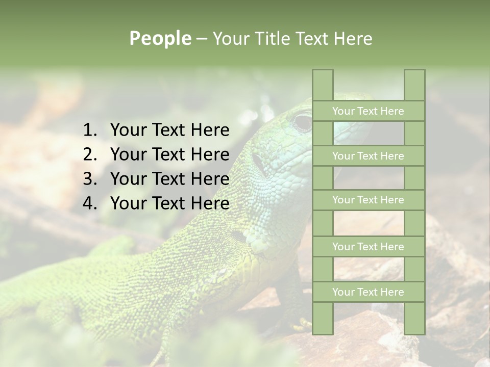 Juvenile Curlytail Green PowerPoint Template
