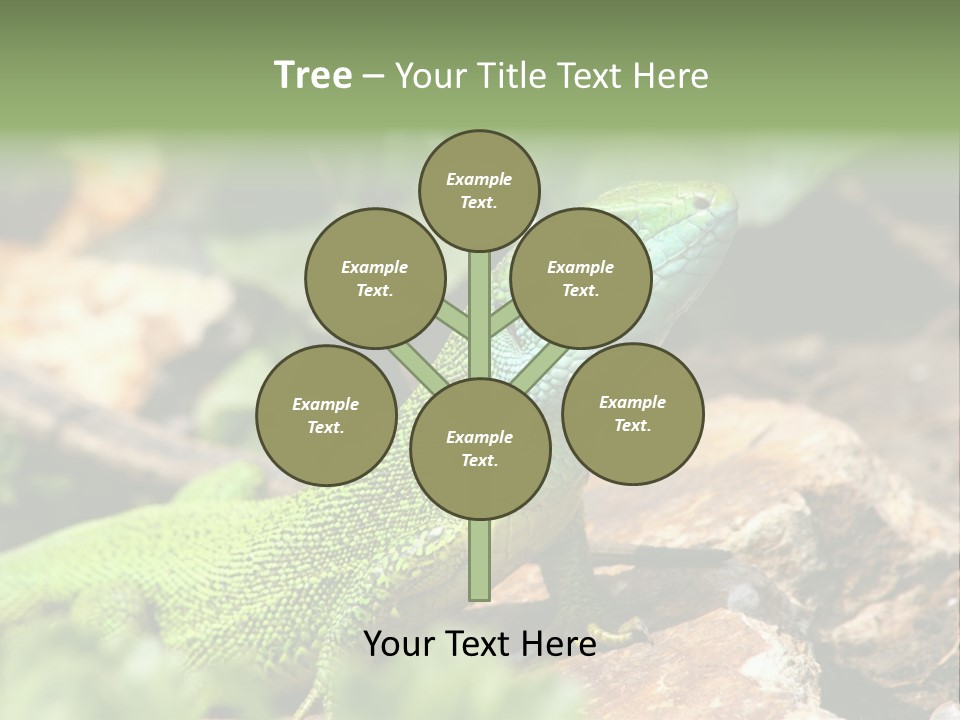 Juvenile Curlytail Green PowerPoint Template