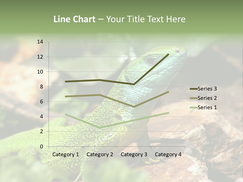 Juvenile Curlytail Green PowerPoint Template