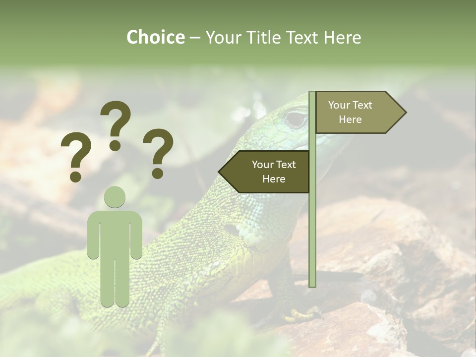 Juvenile Curlytail Green PowerPoint Template