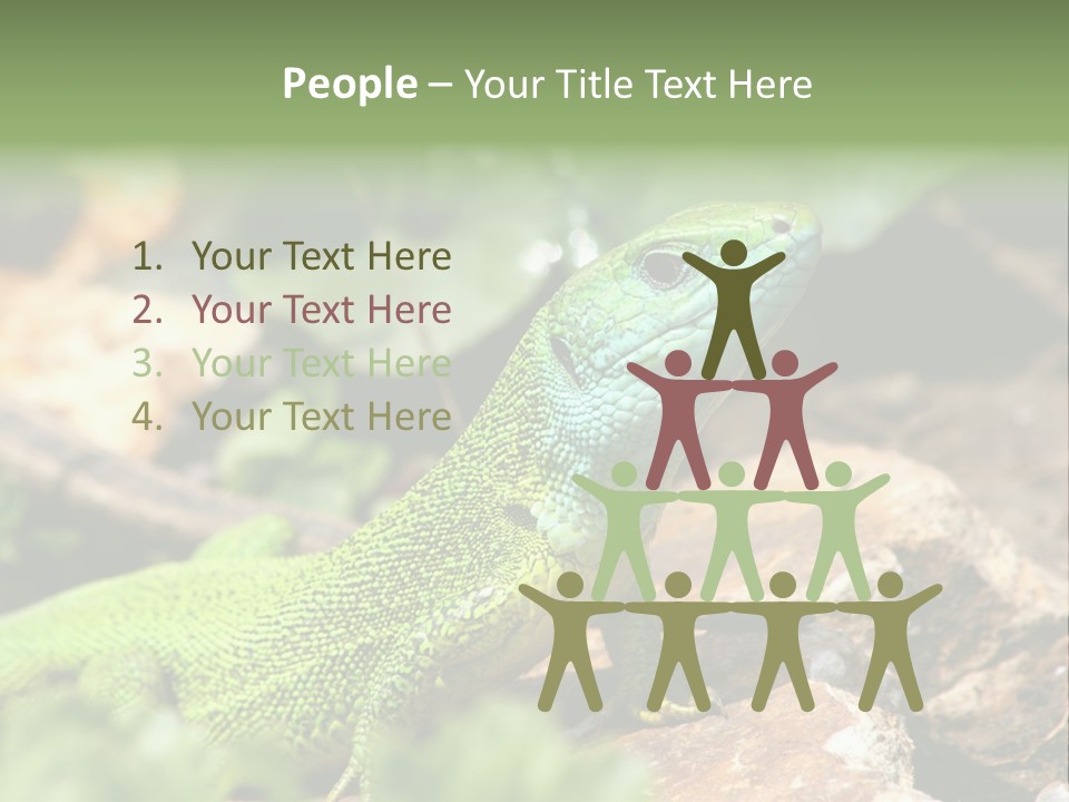 Juvenile Curlytail Green PowerPoint Template