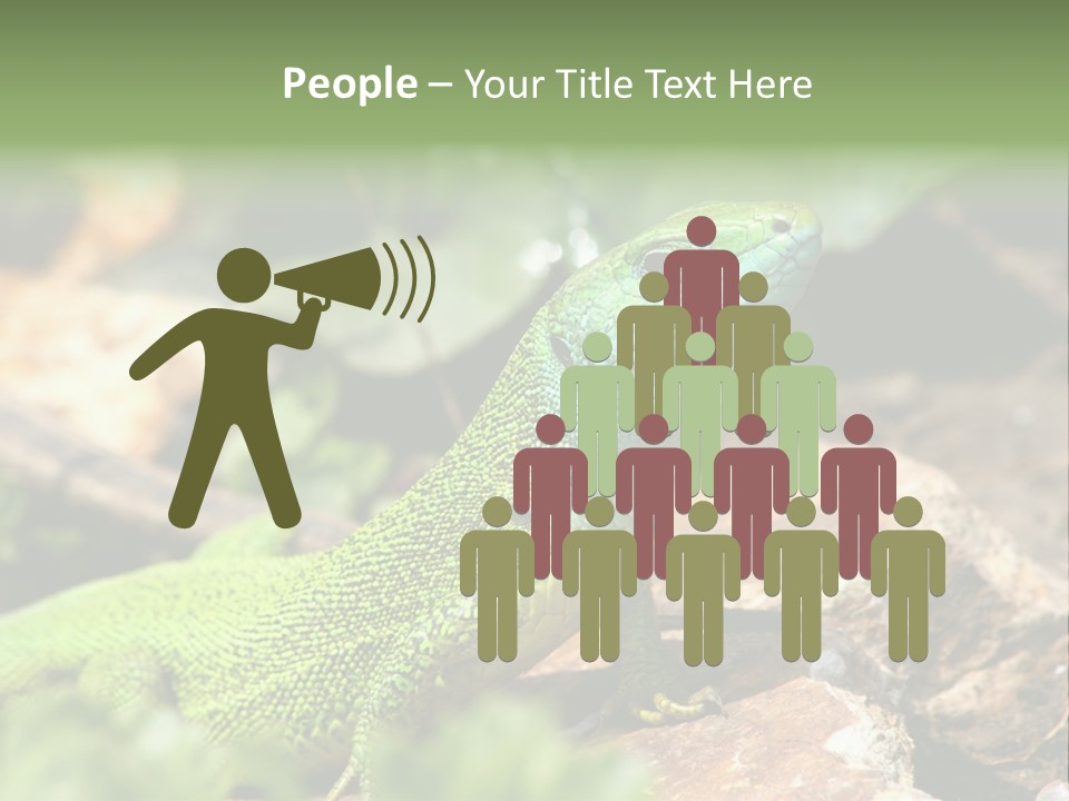 Juvenile Curlytail Green PowerPoint Template