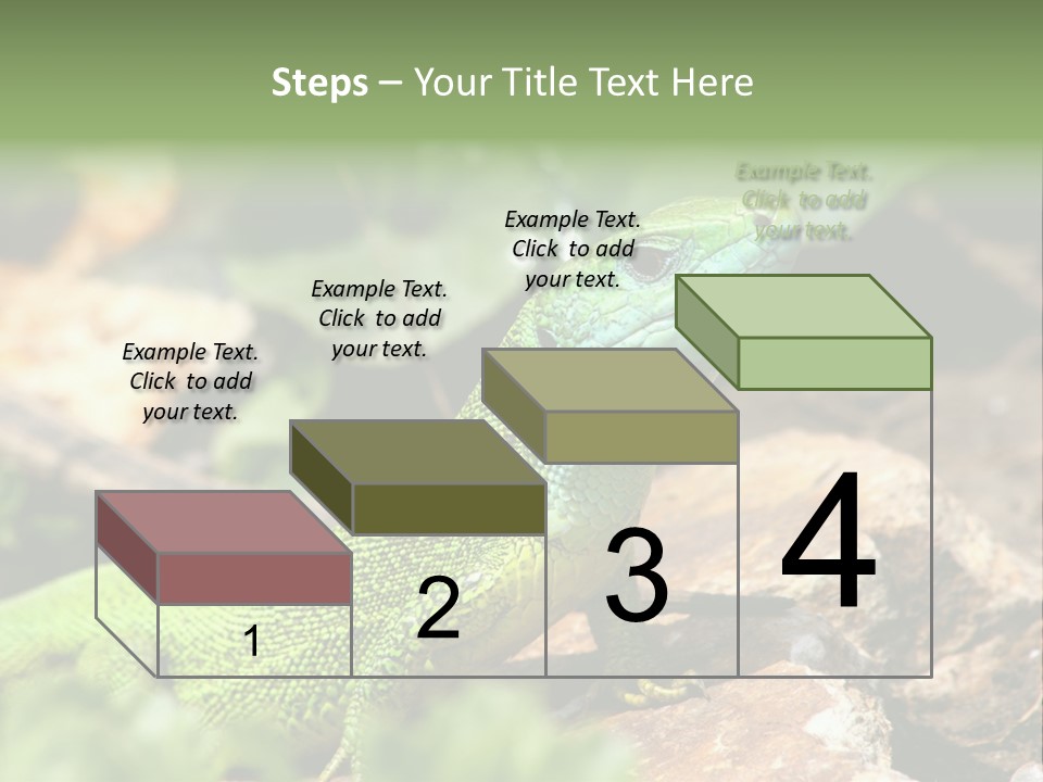 Juvenile Curlytail Green PowerPoint Template