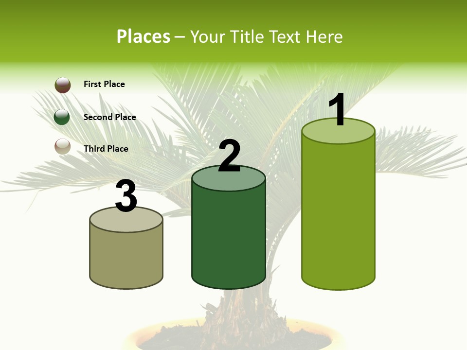 A Palm Tree With A White Background PowerPoint Template