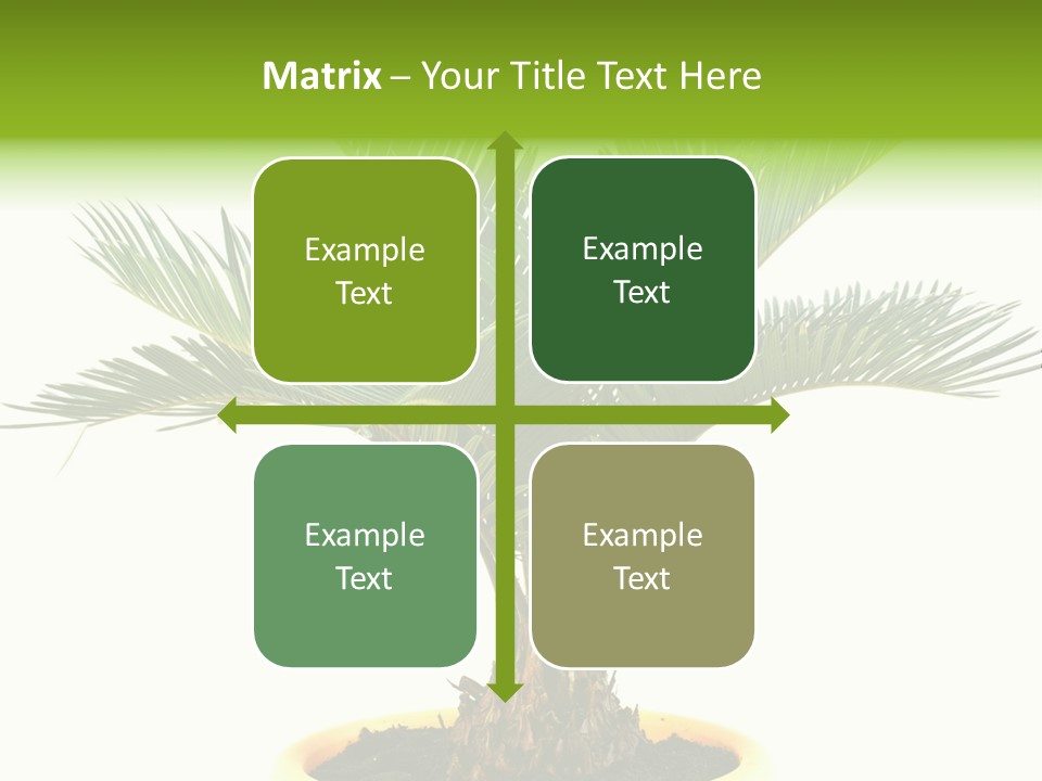 A Palm Tree With A White Background PowerPoint Template