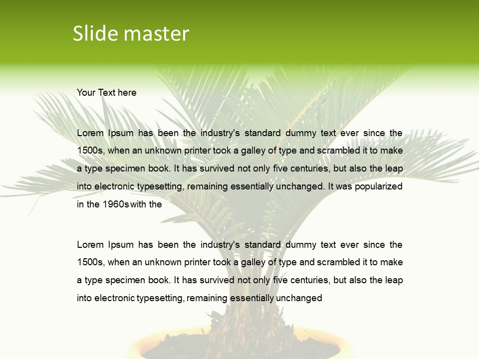 A Palm Tree With A White Background PowerPoint Template
