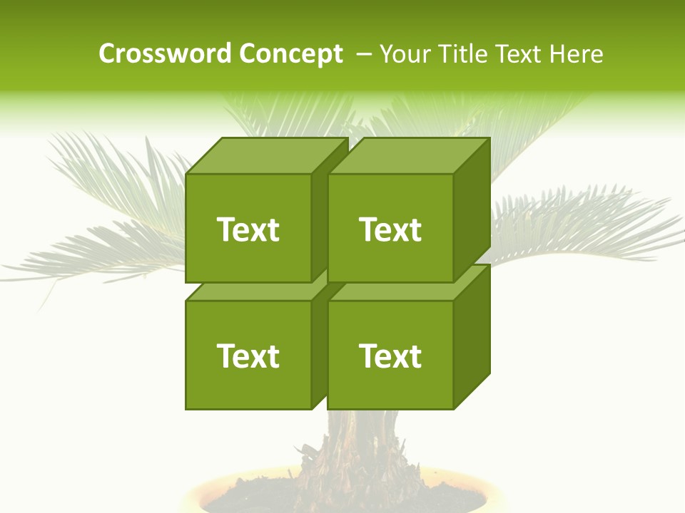 A Palm Tree With A White Background PowerPoint Template