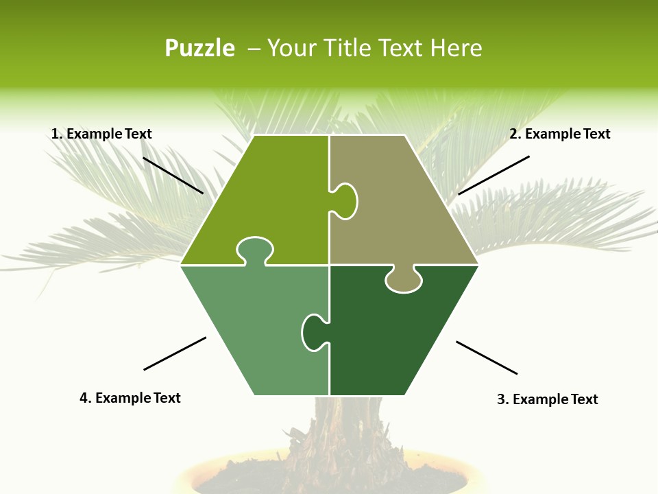 A Palm Tree With A White Background PowerPoint Template