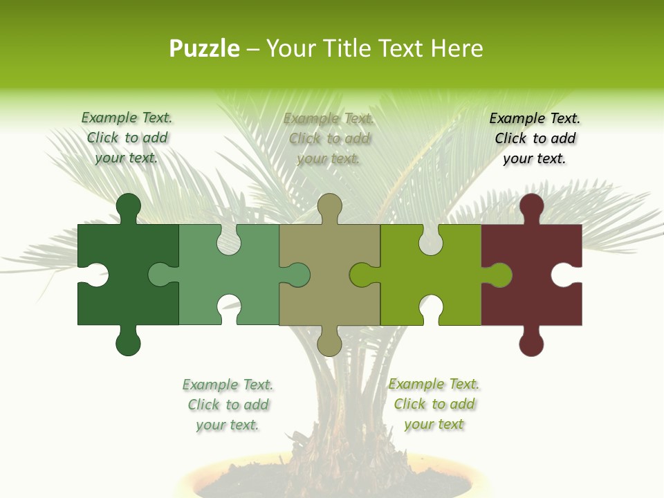 A Palm Tree With A White Background PowerPoint Template