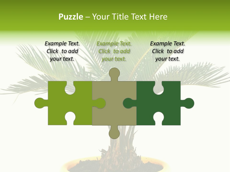 A Palm Tree With A White Background PowerPoint Template
