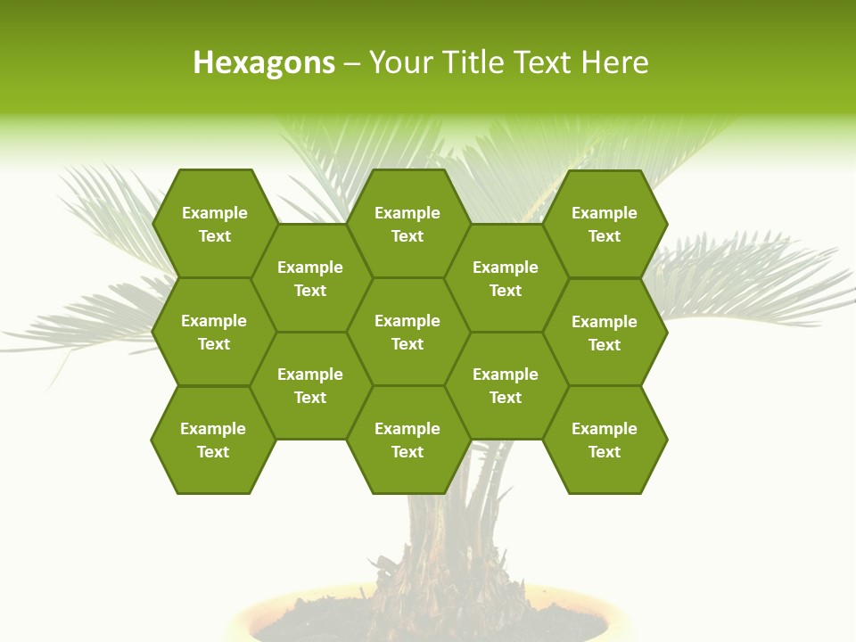 A Palm Tree With A White Background PowerPoint Template