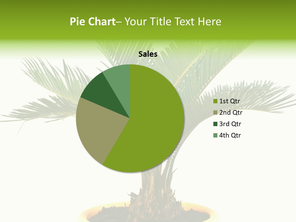 A Palm Tree With A White Background PowerPoint Template