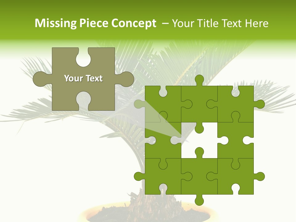 A Palm Tree With A White Background PowerPoint Template