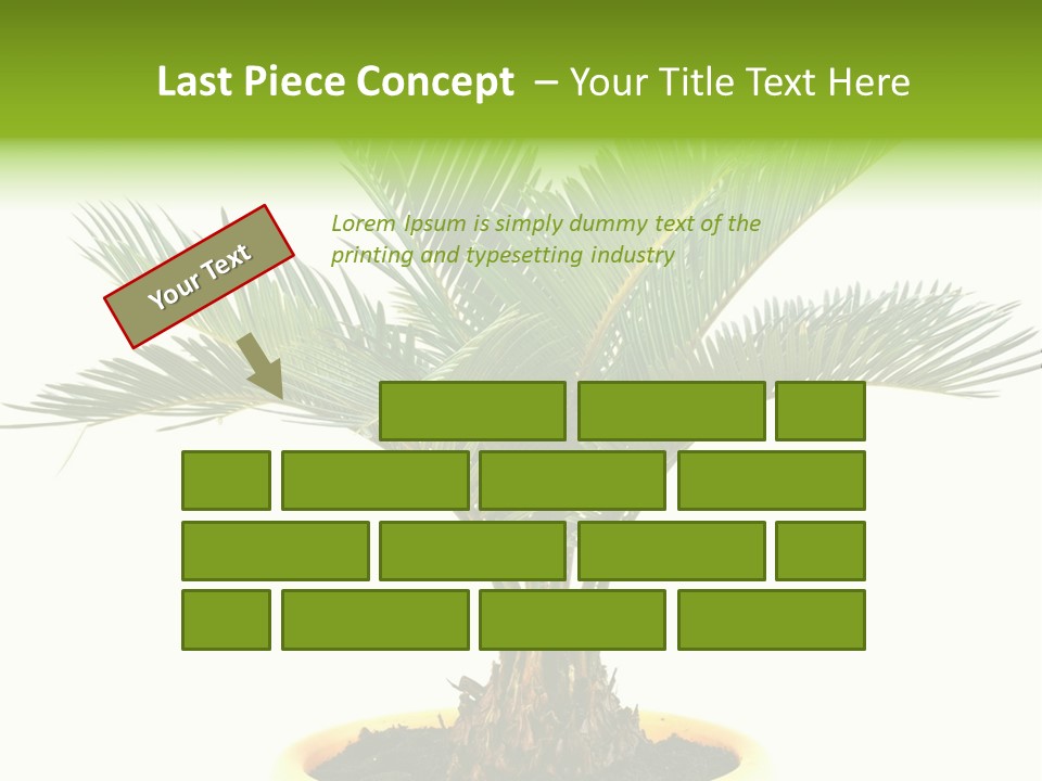 A Palm Tree With A White Background PowerPoint Template