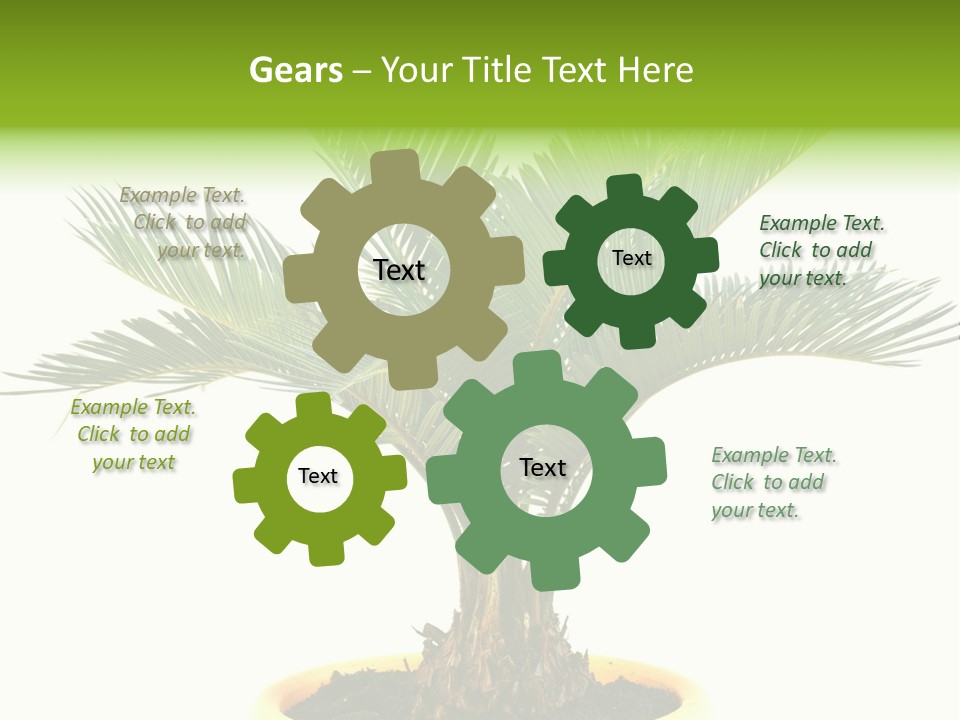 A Palm Tree With A White Background PowerPoint Template