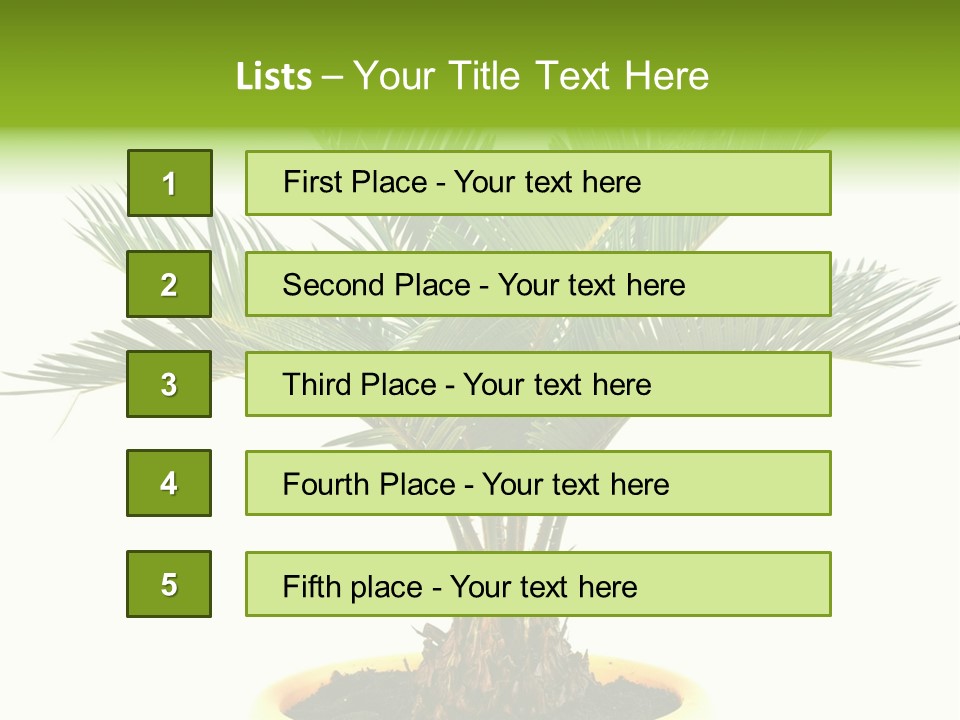 A Palm Tree With A White Background PowerPoint Template