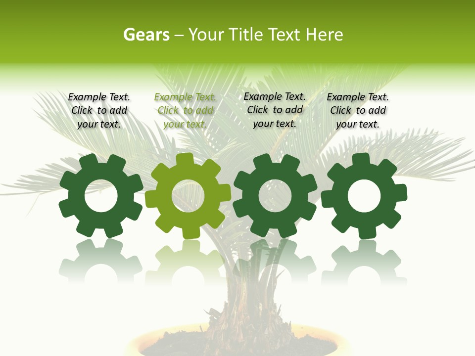 A Palm Tree With A White Background PowerPoint Template