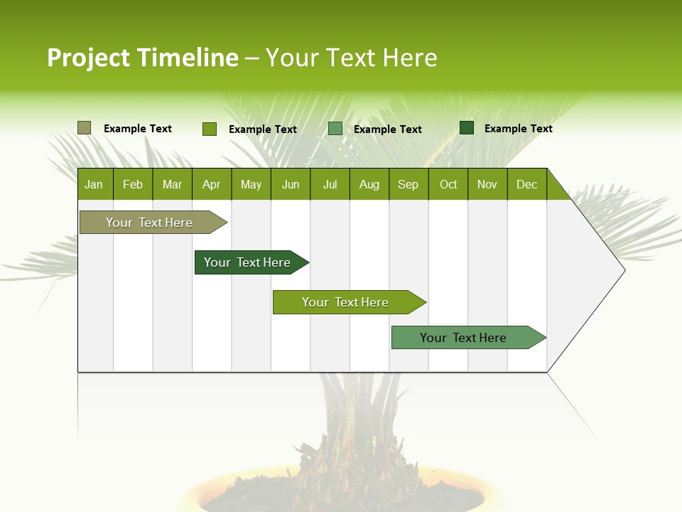A Palm Tree With A White Background PowerPoint Template