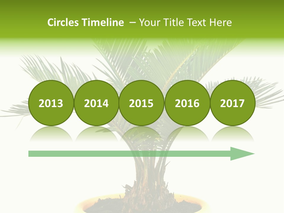 A Palm Tree With A White Background PowerPoint Template