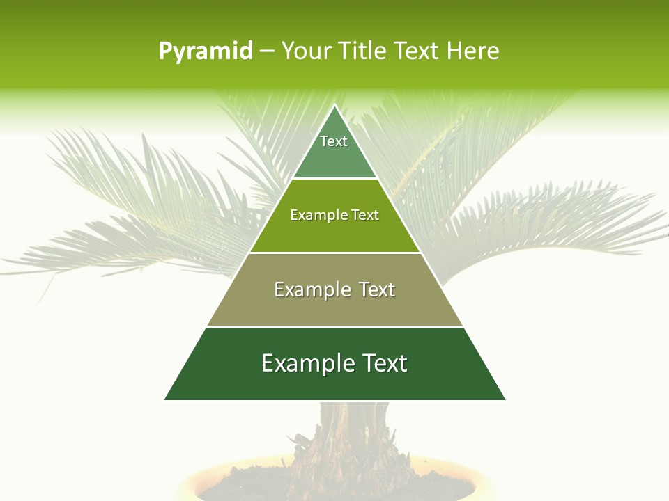 A Palm Tree With A White Background PowerPoint Template