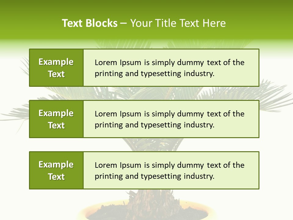 A Palm Tree With A White Background PowerPoint Template