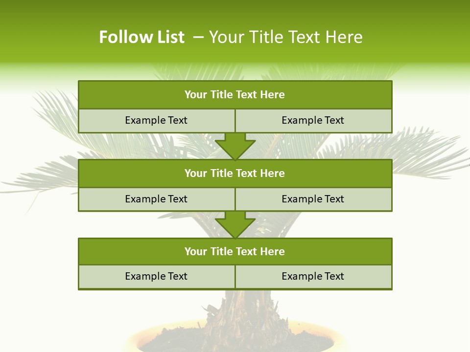 A Palm Tree With A White Background PowerPoint Template