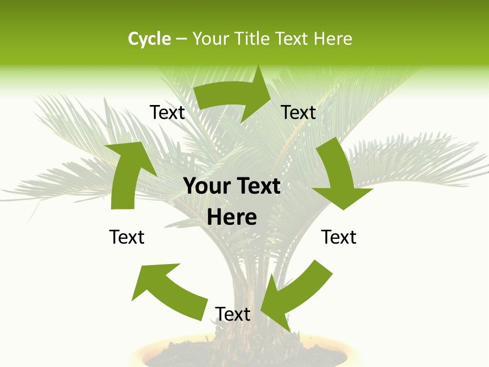 A Palm Tree With A White Background PowerPoint Template