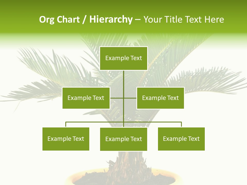 A Palm Tree With A White Background PowerPoint Template