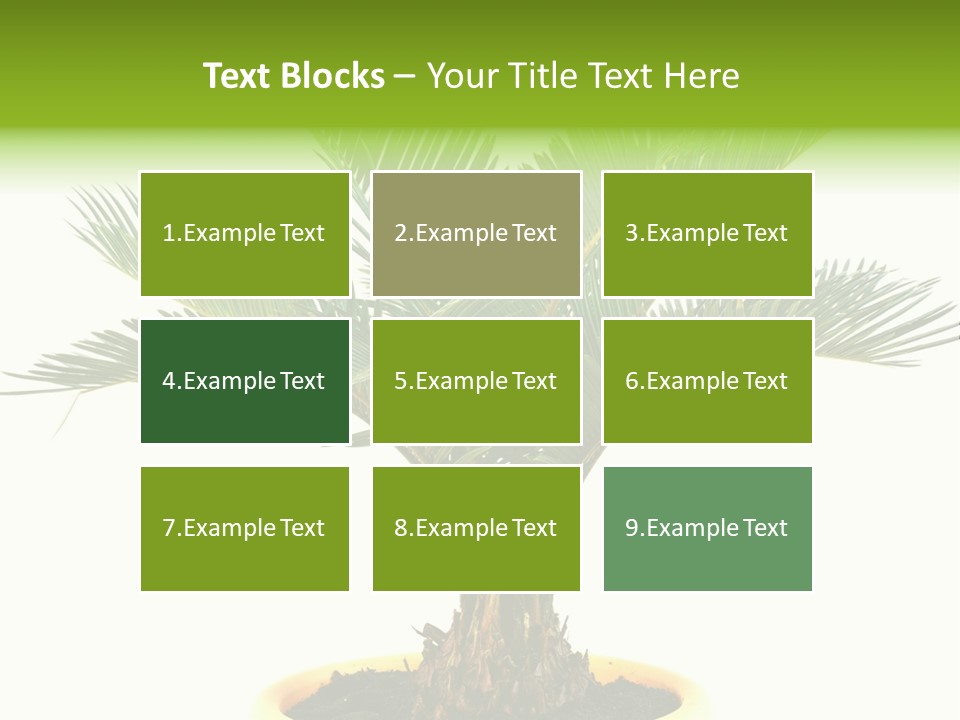 A Palm Tree With A White Background PowerPoint Template