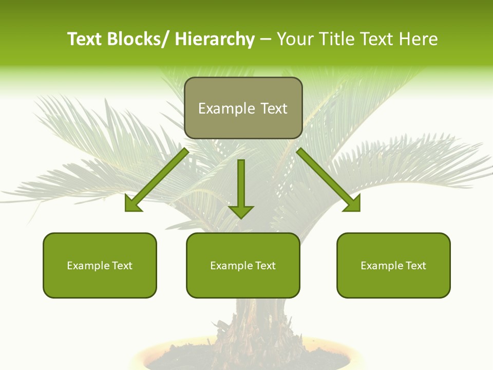 A Palm Tree With A White Background PowerPoint Template