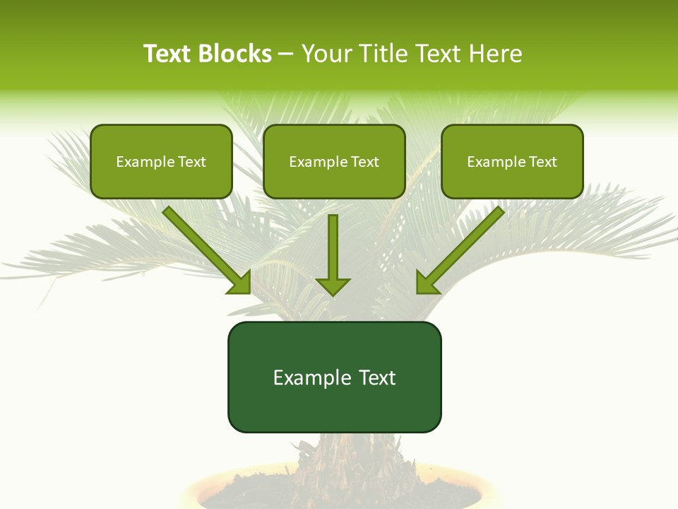 A Palm Tree With A White Background PowerPoint Template