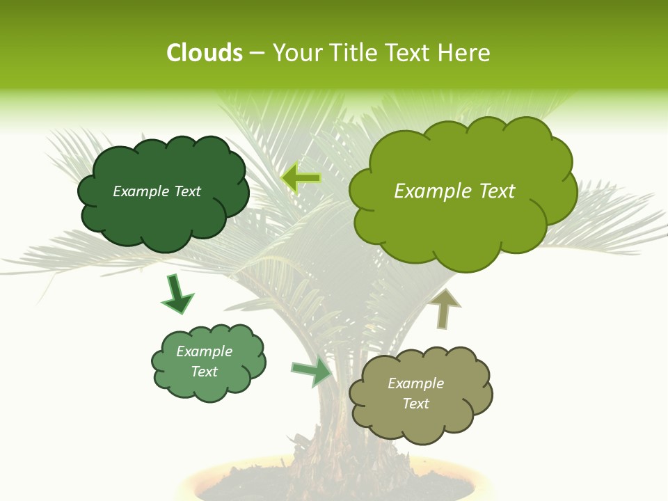 A Palm Tree With A White Background PowerPoint Template